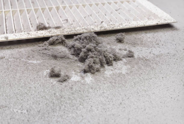Best Best Air Duct Cleaning Company  in Shell Lake, WI