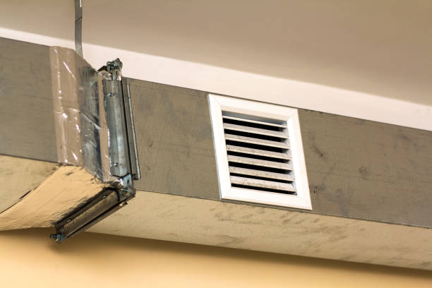 Best Air Duct Sanitizing Services  in Shell Lake, WI